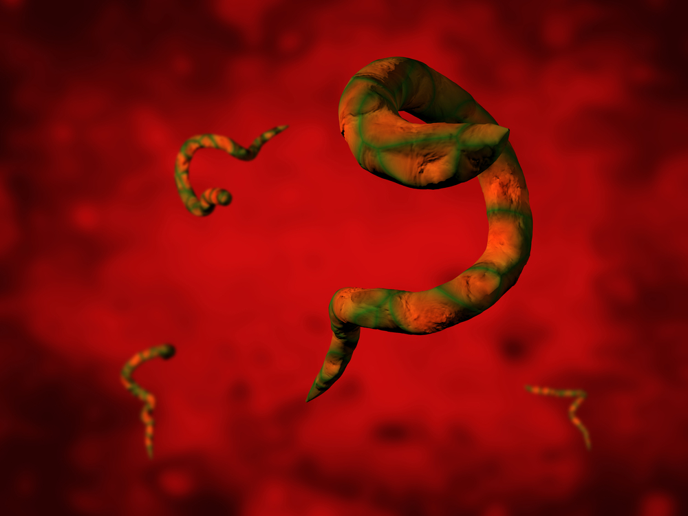 Parazit 3D